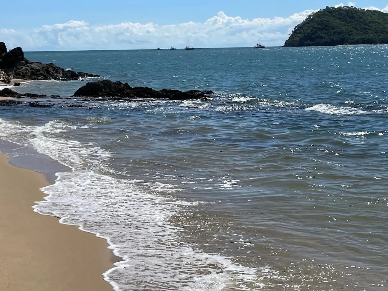 Secluded Tropical Apartment Palm Cove