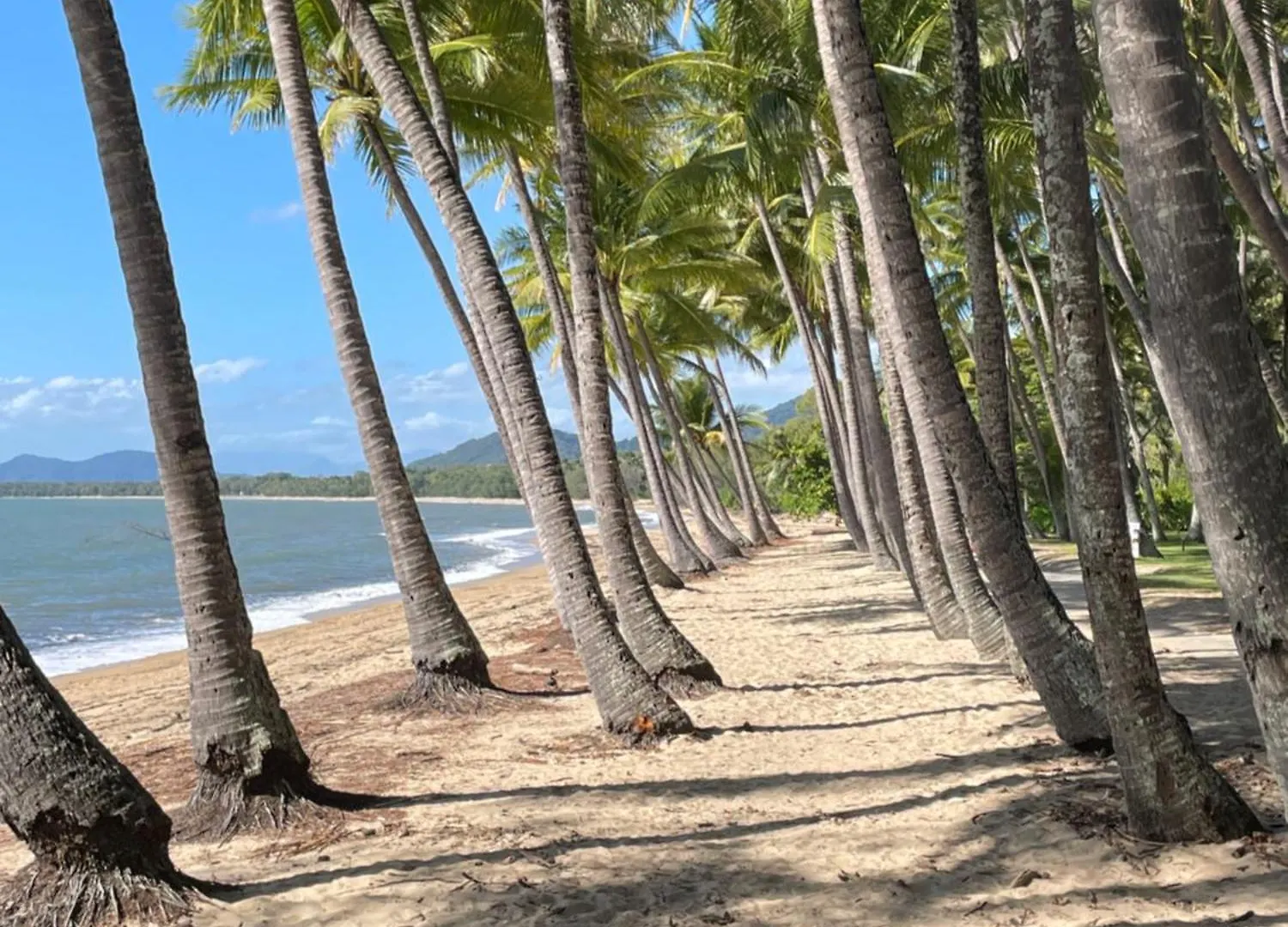 Secluded Tropical Apartment Palm Cove