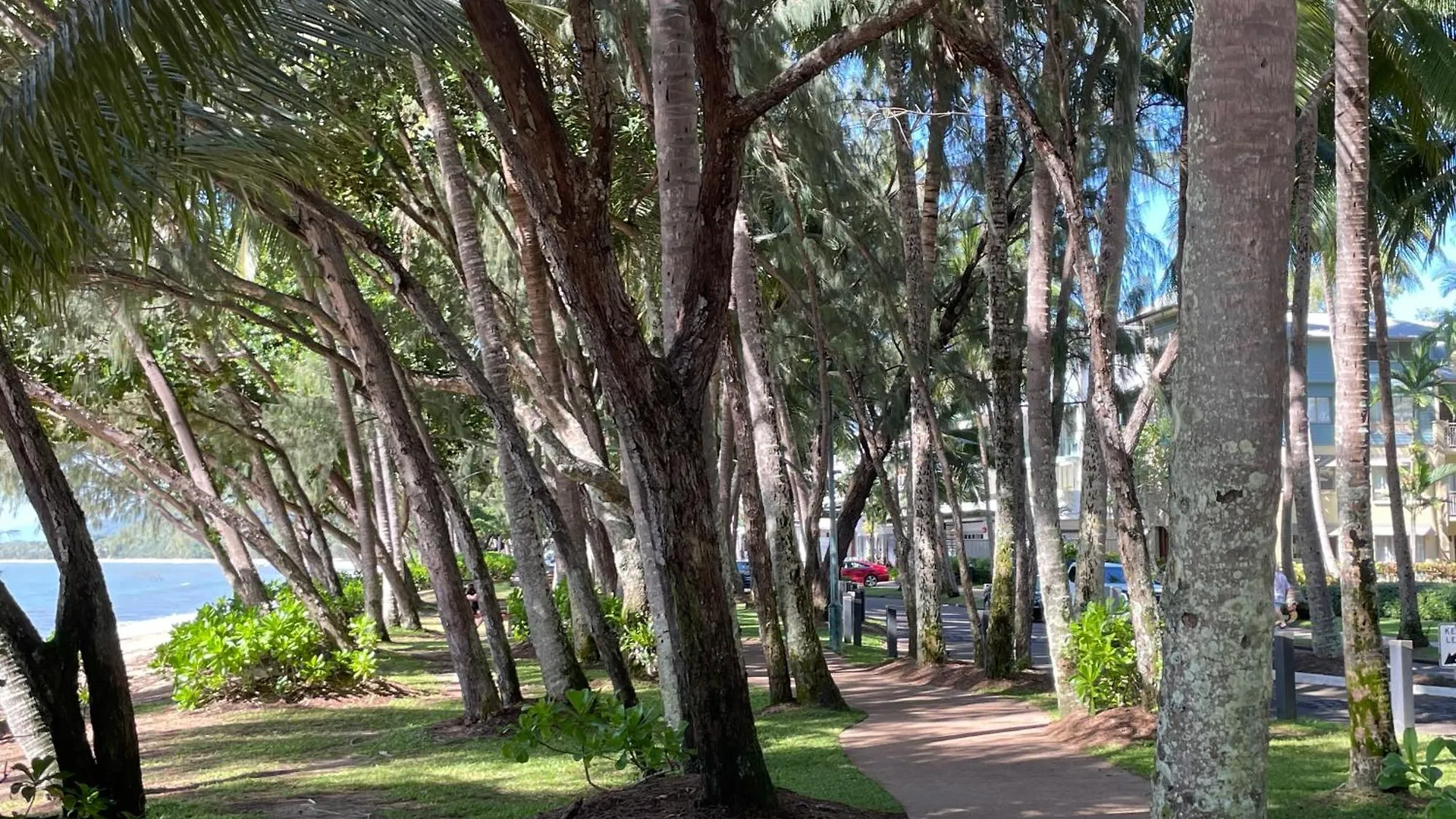 Secluded Tropical Apartment Palm Cove